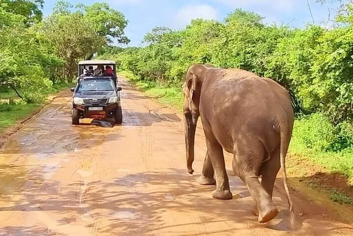 Wilpattu National Park 